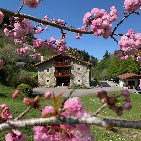 Agroturismo Urresti Gautegiz Arteaga Dış mekan fotoğraf