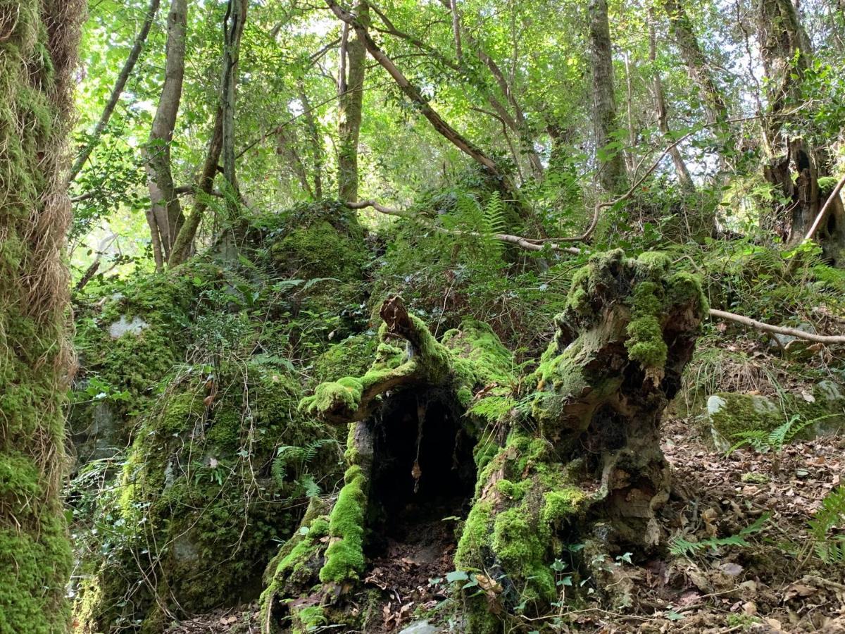 Agroturismo Urresti Gautegiz Arteaga Dış mekan fotoğraf