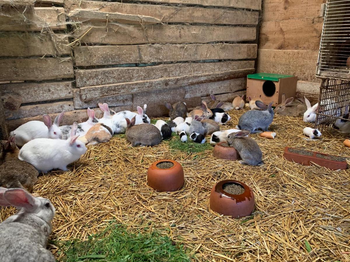 Agroturismo Urresti Gautegiz Arteaga Dış mekan fotoğraf