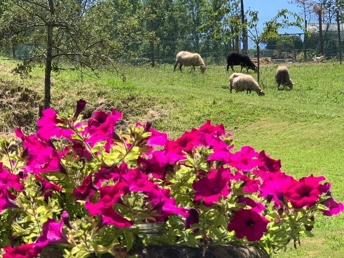 Agroturismo Urresti Gautegiz Arteaga Dış mekan fotoğraf